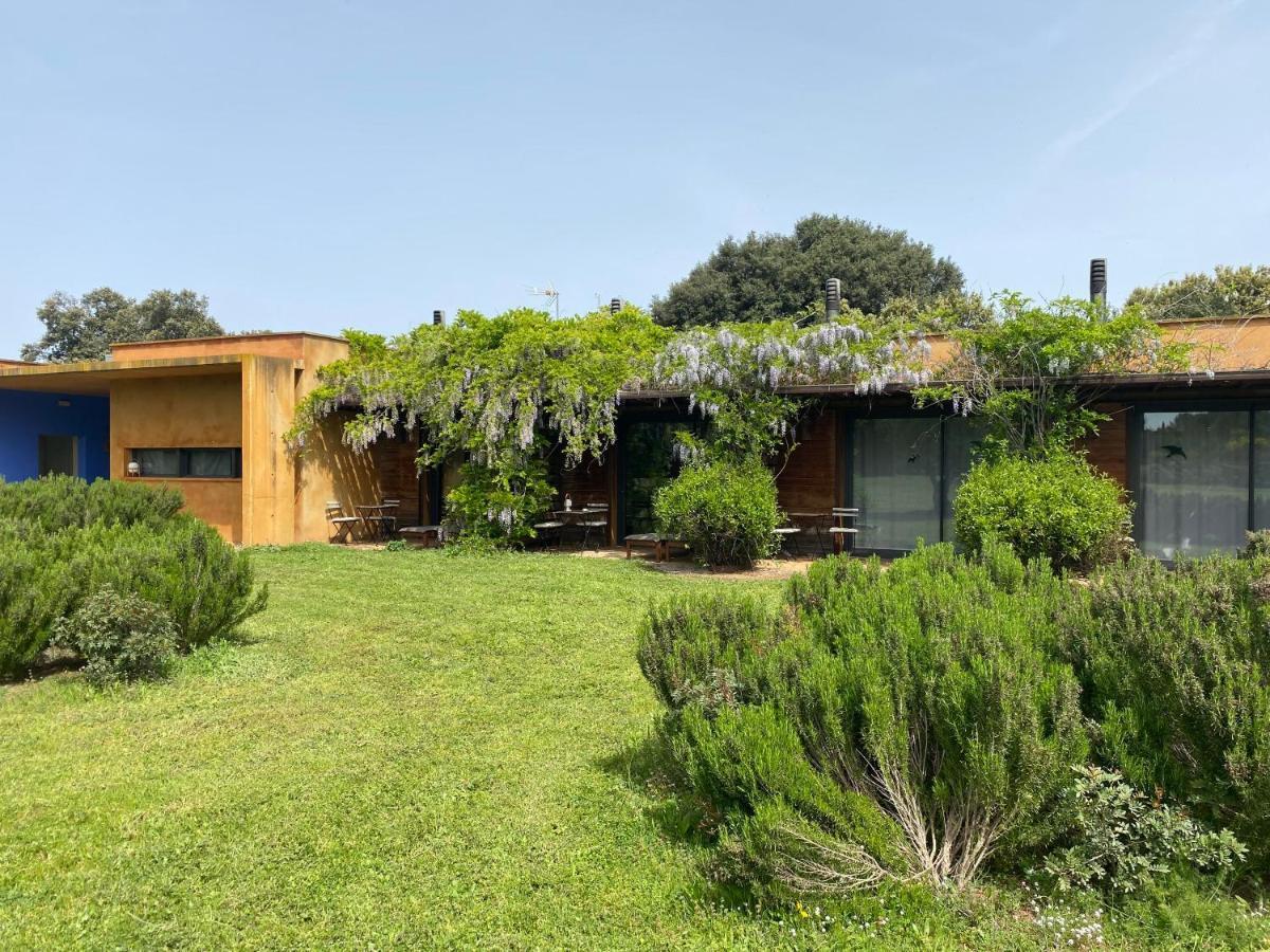 Fundacio L'olivar