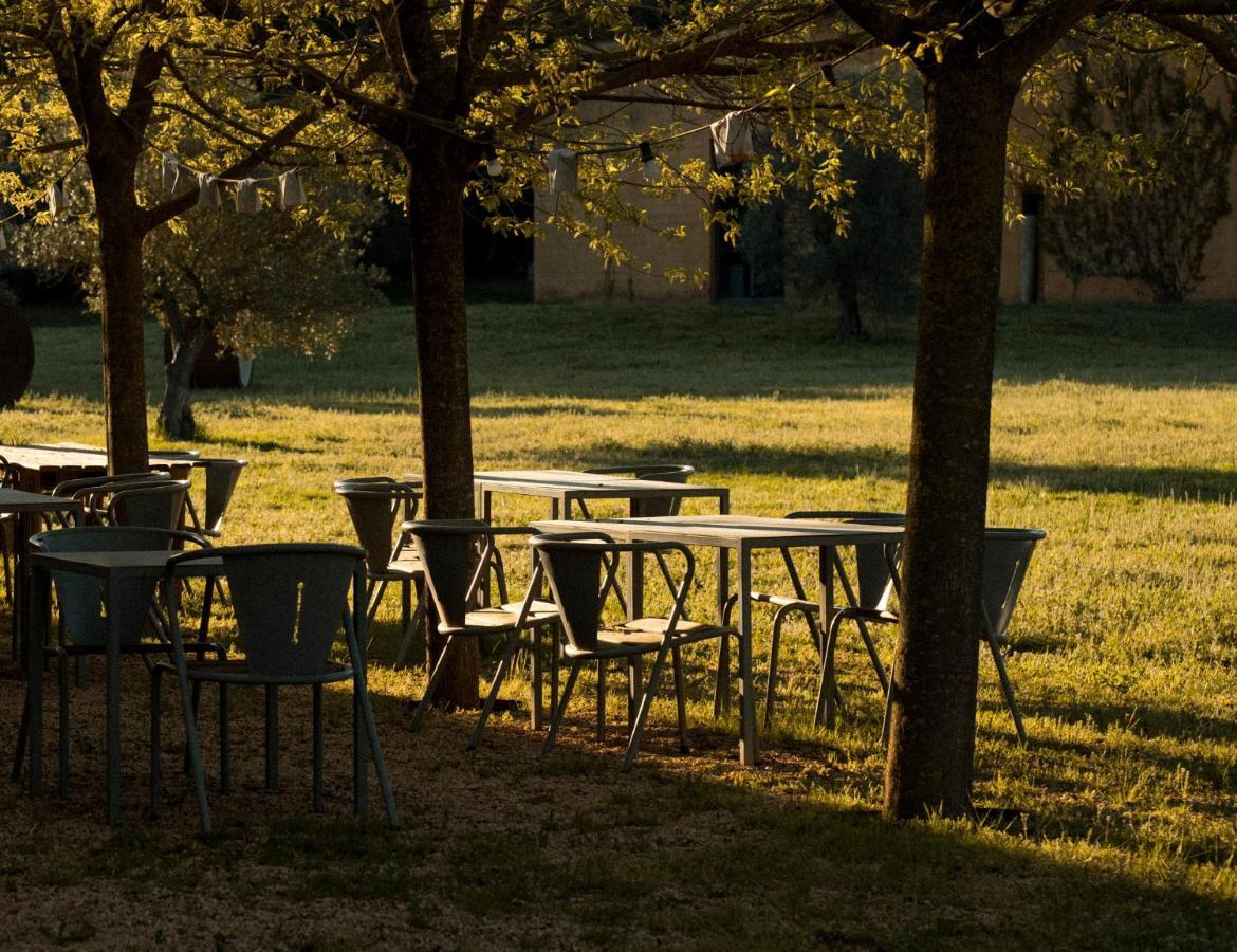 Fundacio L'olivar Bed & Breakfast