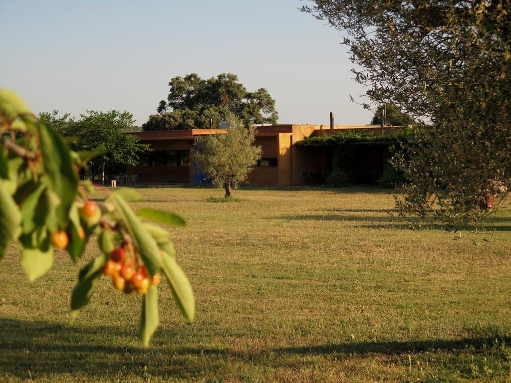 Fundacio L'olivar Ventalló