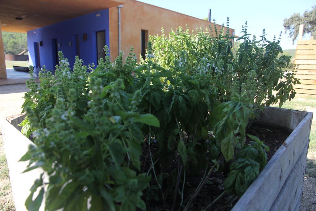 Bed & Breakfast Fundacio L'olivar